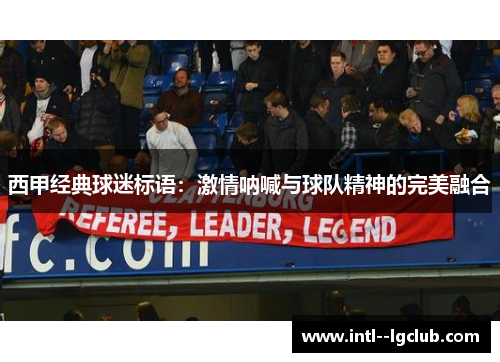 西甲经典球迷标语:激情呐喊与球队精神的完美融合 西甲经典球迷标语:激情呐喊与球队精神的完美融合