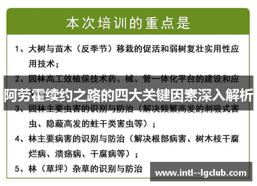 阿劳霍续约之路的四大关键因素深入解析 阿劳霍续约之路的四大关键因素深入解析