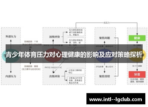 青少年体育压力对心理健康的影响及应对策略探析